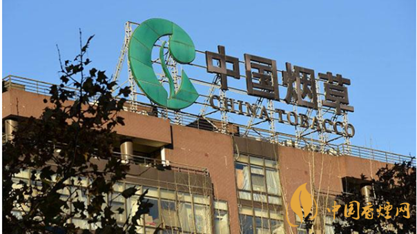 香煙漲價(jià)最新消息2020：香煙漲價(jià)真的能控?zé)焼?>
                                    <span>香煙漲價(jià)最新消息2020：香煙漲價(jià)真的能控?zé)焼?/span>
                                    <p>現(xiàn)在我國煙民的基數(shù)在不斷增大，而且有越來越多的青少年加入吸煙</p>
                                </a>
                            </li>
                                                                                </ul>
                    </div>

                </div>
            </div>
        </div>
    </div>

    
<link rel=