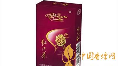 紅山茶紫市值多少錢？紅山茶紫口味如何？