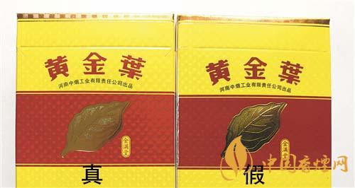 如何辨別黃金葉金滿堂真假？2020黃金葉真假辨別詳情對比