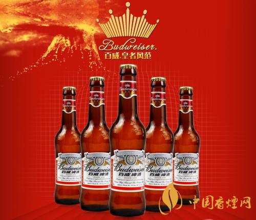 百威啤酒多少錢(qián)一瓶 2020百威啤酒價(jià)格表