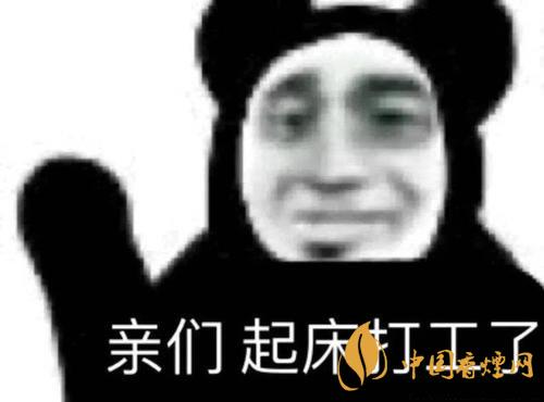 早安打工人是什么梗？早安打工人梗語錄大全