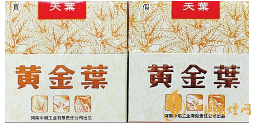 黃金葉天葉真假煙的快速鑒別方法(帶圖)