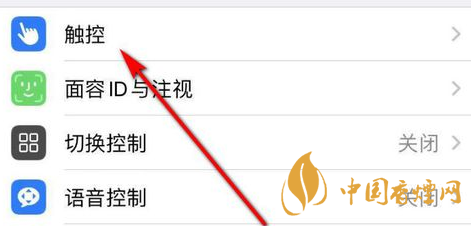 iphone12小圓點在哪 iphone12小圓點設置教程