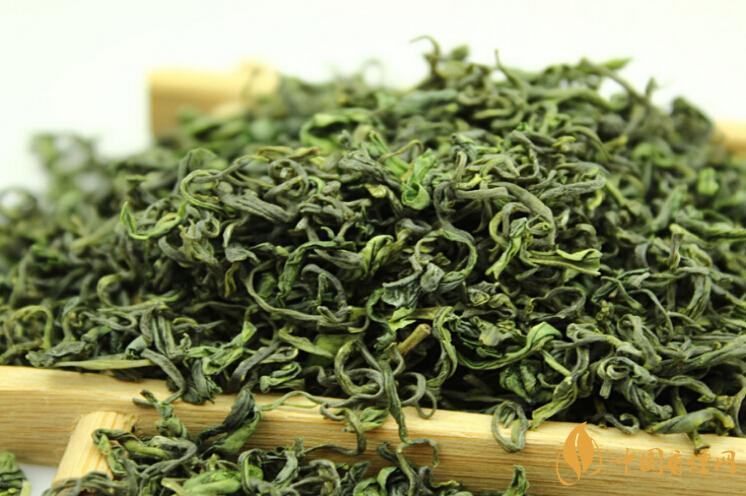 海青綠茶價格表和圖片大全 海青綠茶多少錢價格