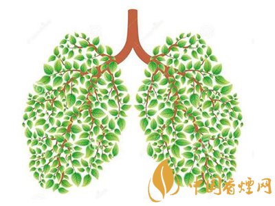 相比癌癥慢阻肺疾病離吸煙者更近！