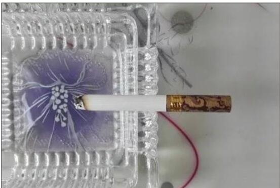 黃鶴樓漫天游，除了短貴沒別的毛病