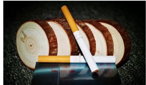 黃鶴樓游泳回歸，爺爺輩最喜愛的香煙品牌