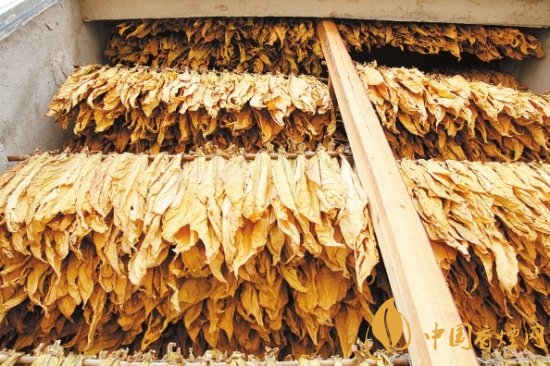 煙葉稅是什么，煙葉稅如何計算