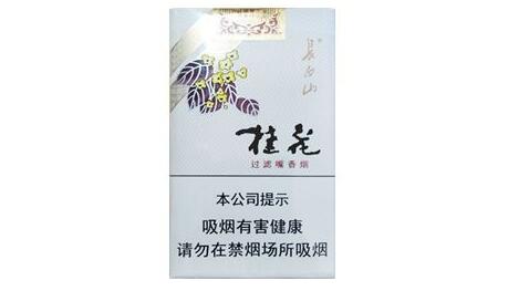 長(zhǎng)白山(桂花)香煙價(jià)格表圖 長(zhǎng)白山桂花煙多少錢(qián)