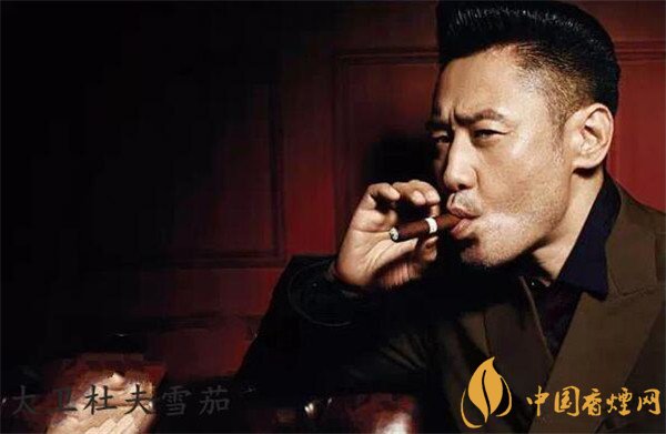 大衛(wèi)杜夫雪茄(大衛(wèi)杜夫2號)價(jià)格表圖 國行大衛(wèi)杜夫2號雪茄價(jià)格多少