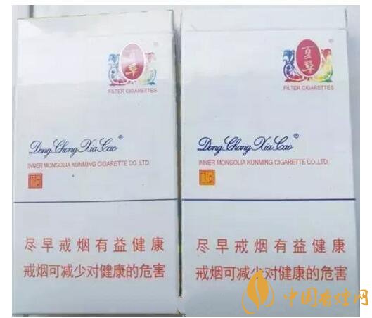 冬蟲夏草（和潤(rùn)）真假鑒別，春節(jié)防止被騙