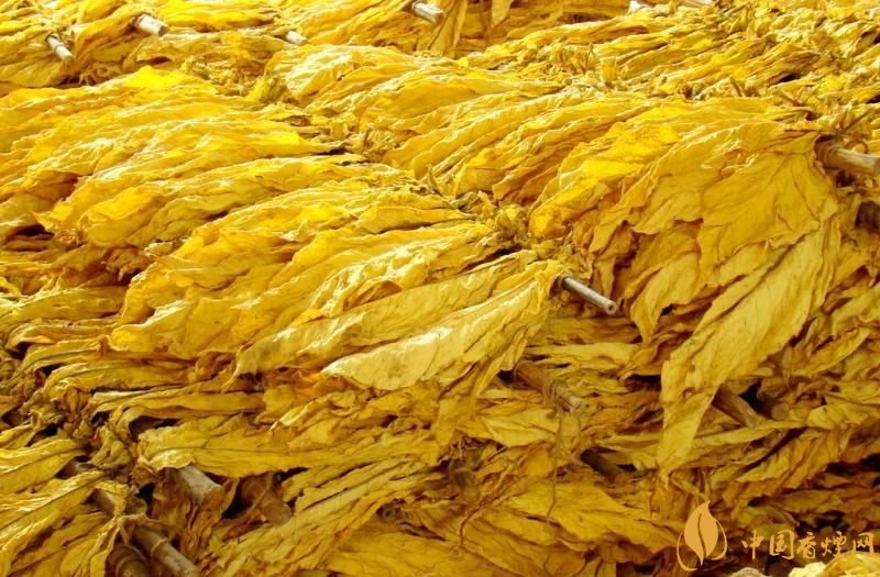 朱砂煙到底是什么煙，云煙朱砂煙有哪幾款