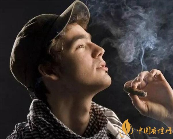 哈瓦那雪茄(烏普曼2號(hào)魚(yú)雷)怎么樣 烏普曼2號(hào)魚(yú)雷口感好嗎