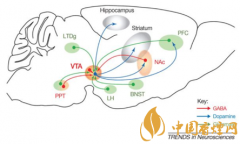 煙癮是什么 煙癮犯了怎么辦！