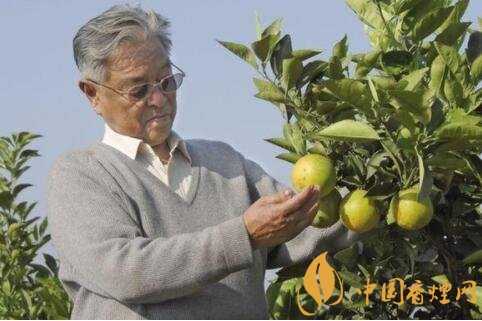 一代煙草大王褚時(shí)健去世 享年91歲