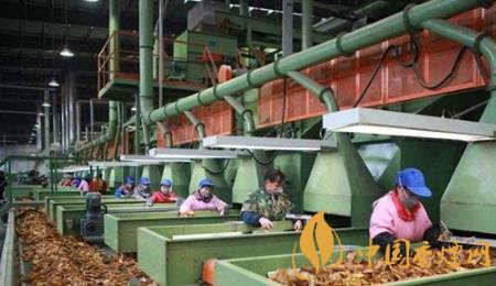 奮戰(zhàn)2020元春卷煙市場 需要從這三方面開始布局！